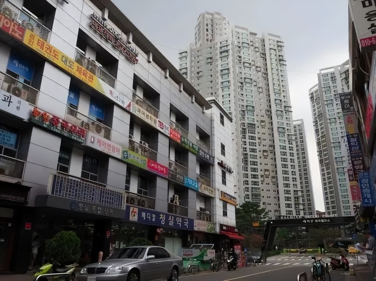 韩国最好看的狗,韩国最火的狗排行榜