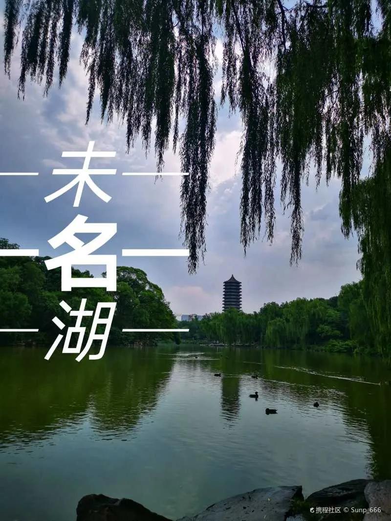 清华北大难回答的问题,清华北大对网友质疑有何回应