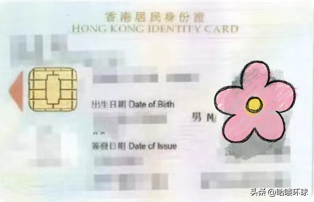 香港永居和香港户口的区别,香港永居身份和非永居身份区别