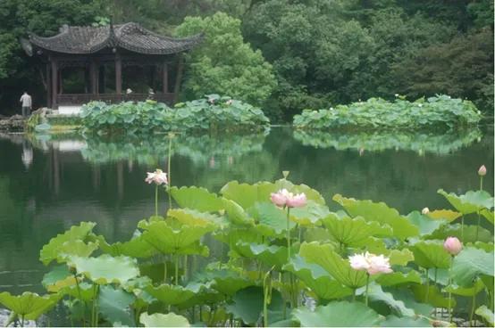 晚上杭州最值得去的五个景点,杭州名胜古迹旅游景点有哪些