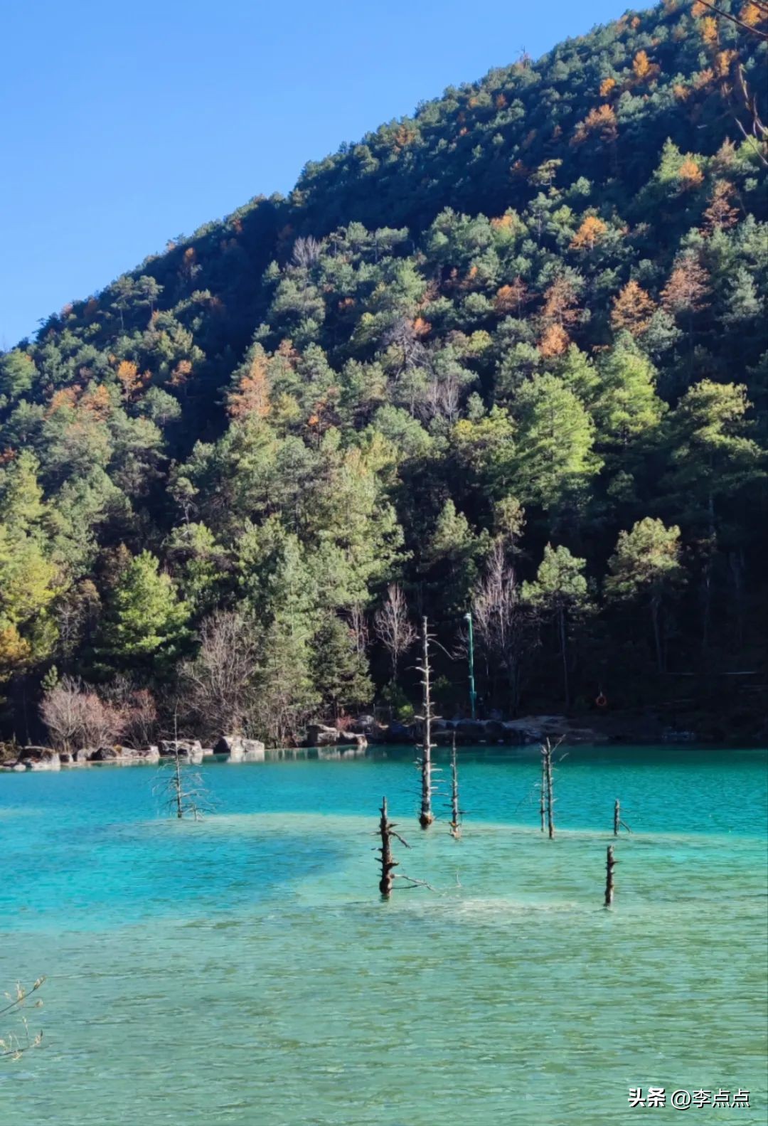 云南旅游疫情最新通报,疫情下的云南旅游