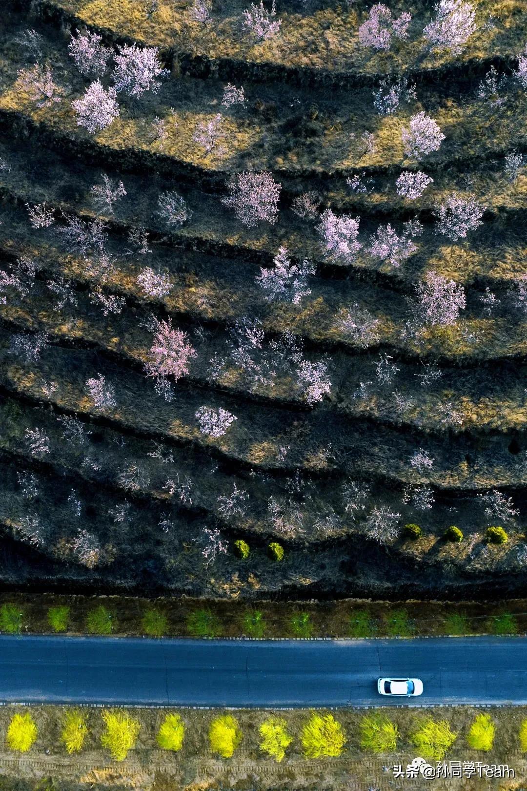 宝藏小众城市榆林,边陲古城榆林