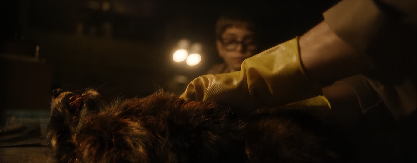 31年作品从未断过,这影史第一丑闻终于公开,满屏血色根本不敢看