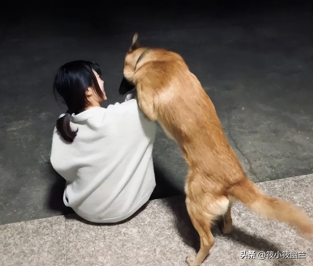 你家狗狗喜欢上别人了吗,狗狗为什么一直扒拉主人胳膊