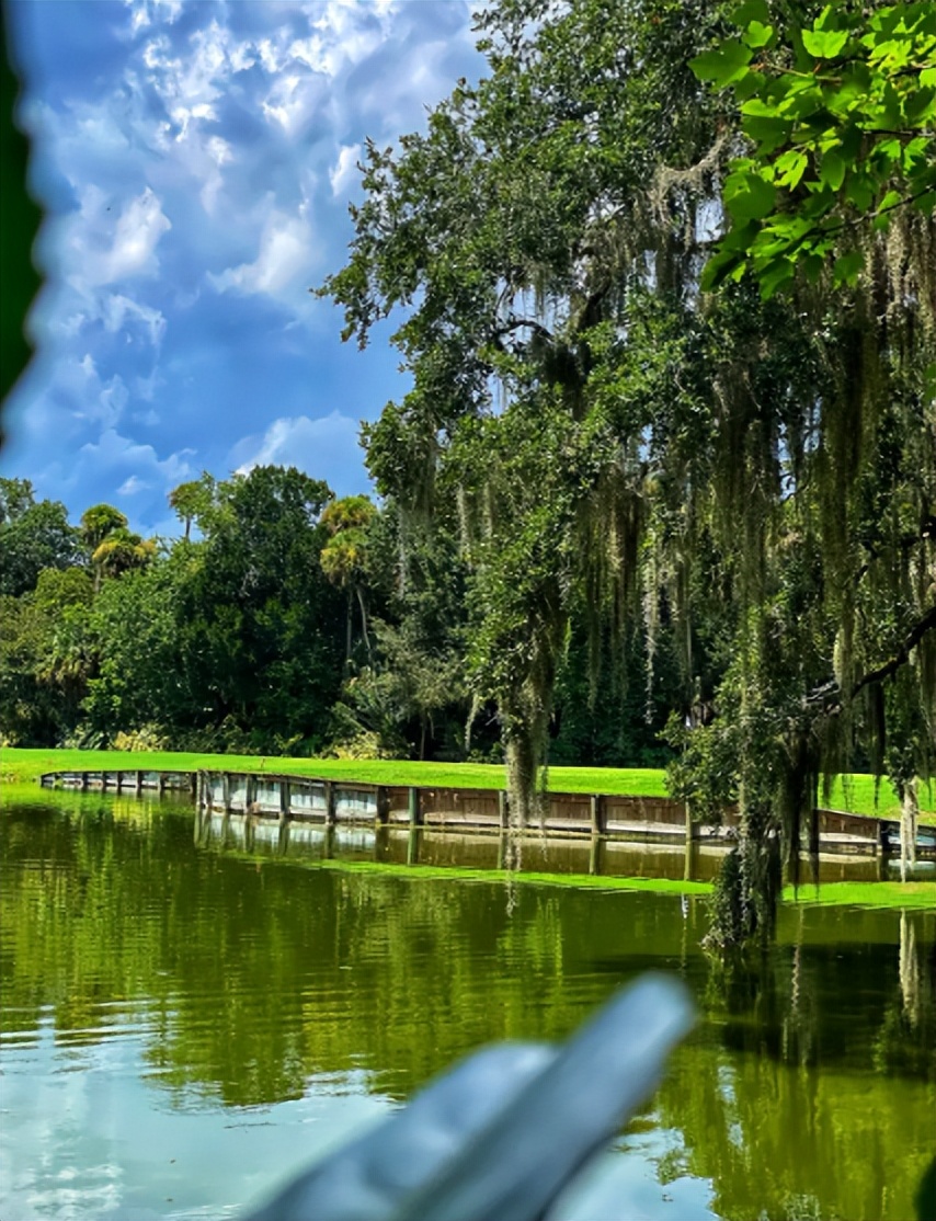 热带雨林是地球之肺教学视频,热带雨林是开发还是保护