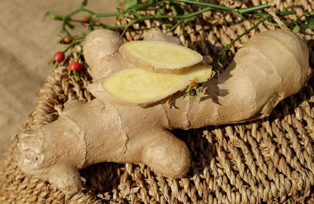 适合夏天的祛湿气茶,适合祛寒气祛湿气的茶
