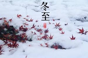 浜屽崄鍥涜妭姘斿啲鑷崇殑璋氳,浜屽崄鍥涜妭姘斾箣鍐嚦涔犱織