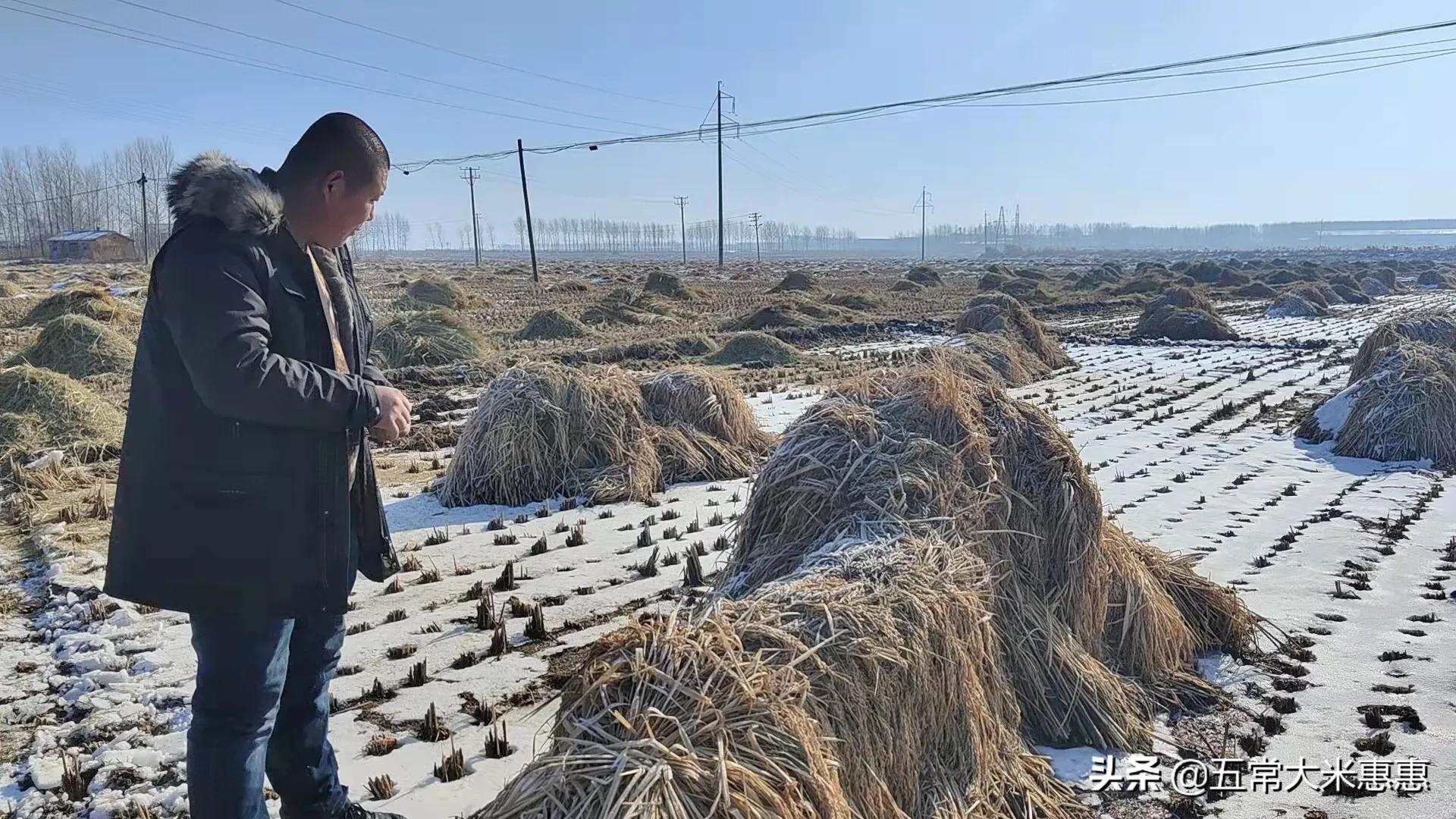 心脏支架后喘不上气,老人做完心脏支架后不能说话