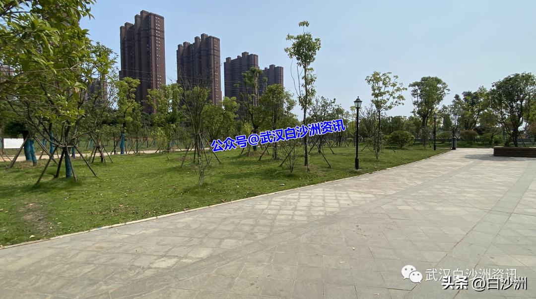 遗憾！青菱红霞游园不能建设足球场