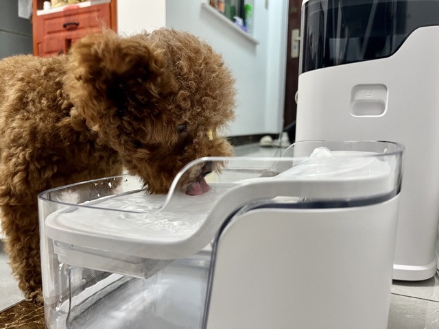 宠咕咕饮水机,宠物智能喂水器测评