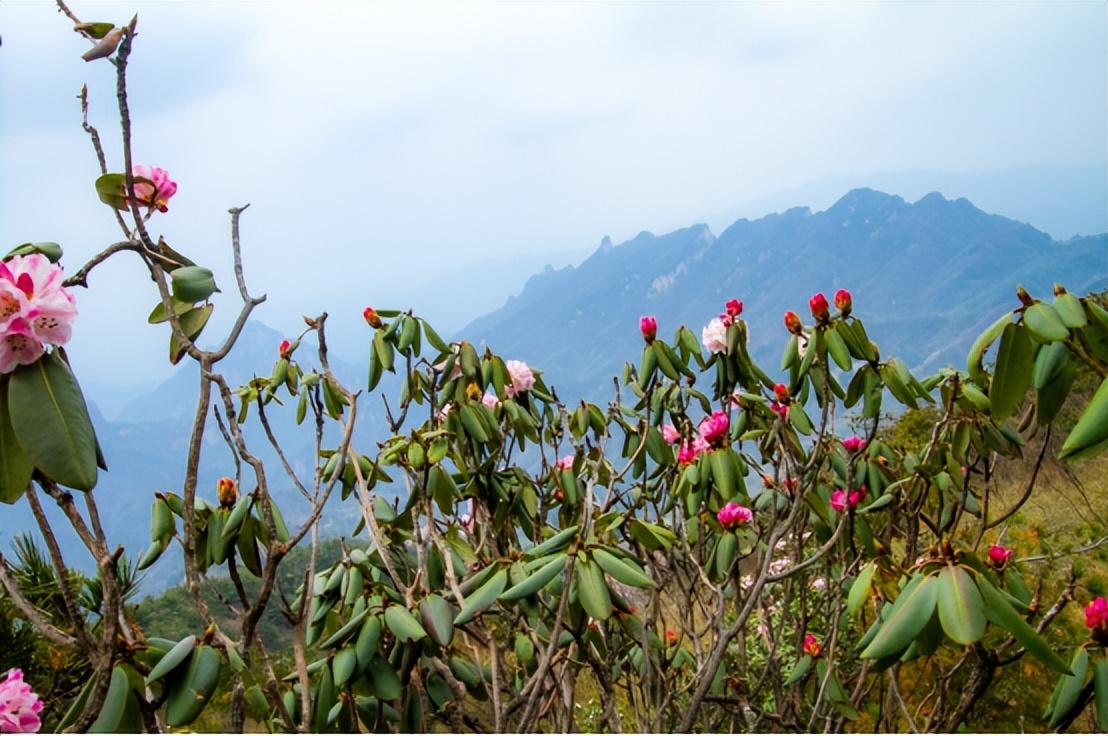 2021年中国旅游日河南免门票景区,2020中国旅游日河南免费景区