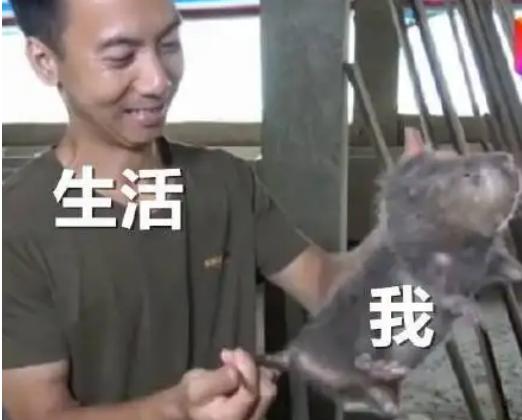 规则怪谈一口气看完系列剧本杀,请遵守以下规则什么梗