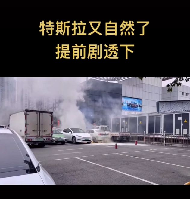 特斯拉韩潮后续,特斯拉车主韩潮事件