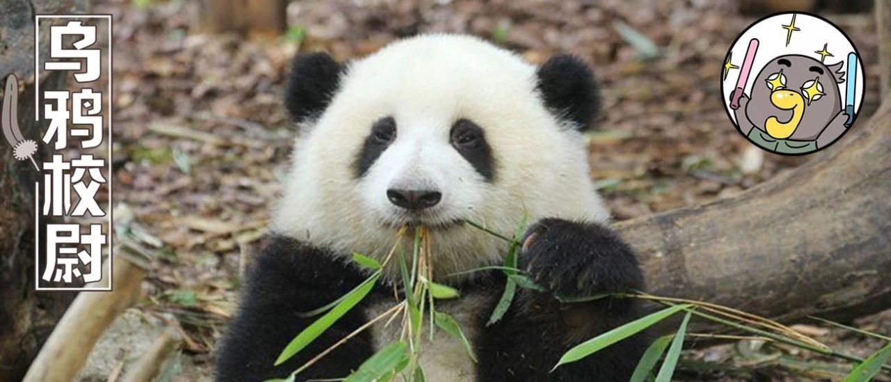 中国十大顶流女明星,顶流女明星穿越电视剧