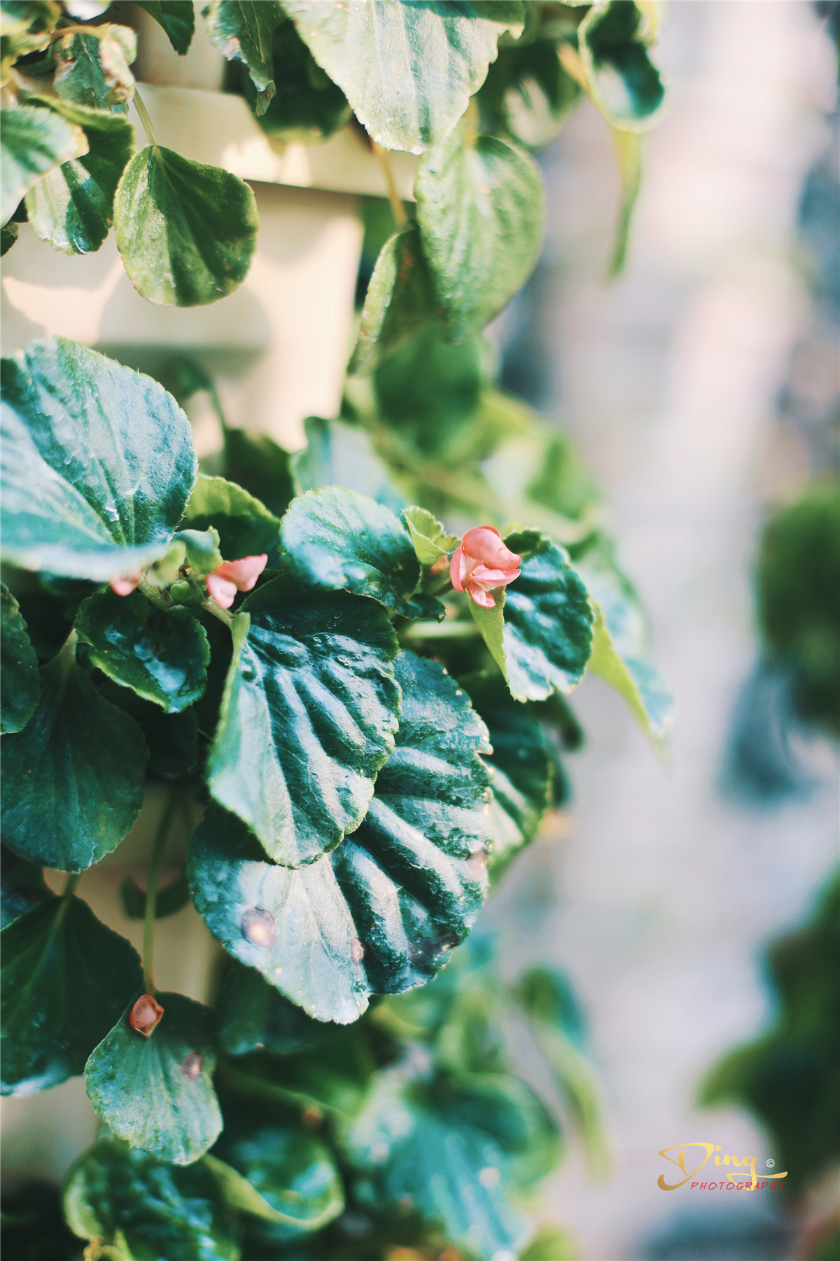 苏州梦里江南二日游攻略,苏州自驾游太湖最佳景点推荐