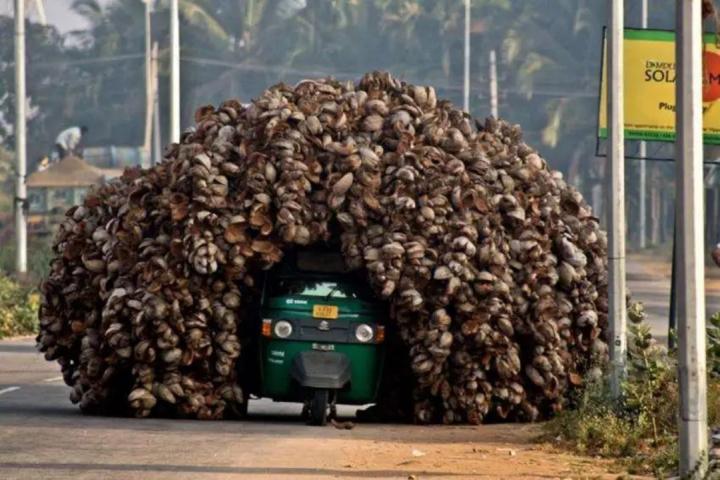 与非洲人相处的七*法大**则——十年驻非老鸟总结