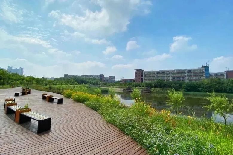 涓浗鍗佸ぇ楂樿柂鐑棬涓撲笟,涓浗鍗佸ぇ寮哄娍涓撲笟鎺掑悕