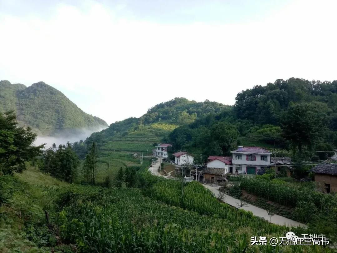 寰烽珮鏈涢噸浣滃,寰烽珮鏈涢噸灏忚闃呰