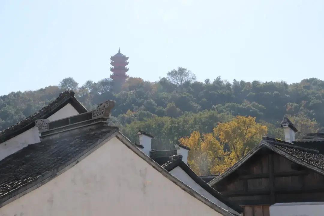 惠山老街千年祠堂,无锡惠山古镇祠堂文化掠影