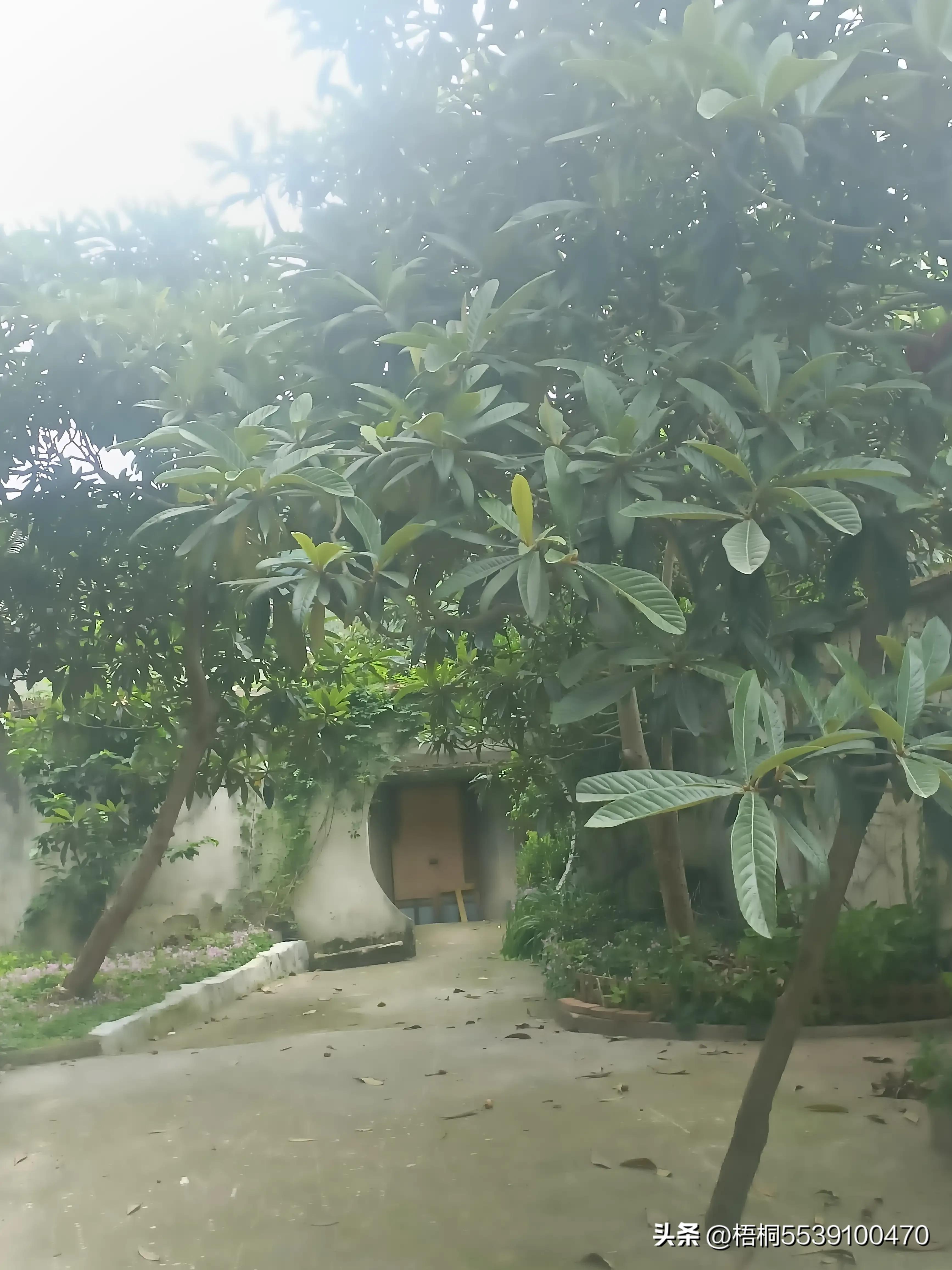 苏州洞庭西山有什么好玩的,苏州太湖东山还是西山好玩