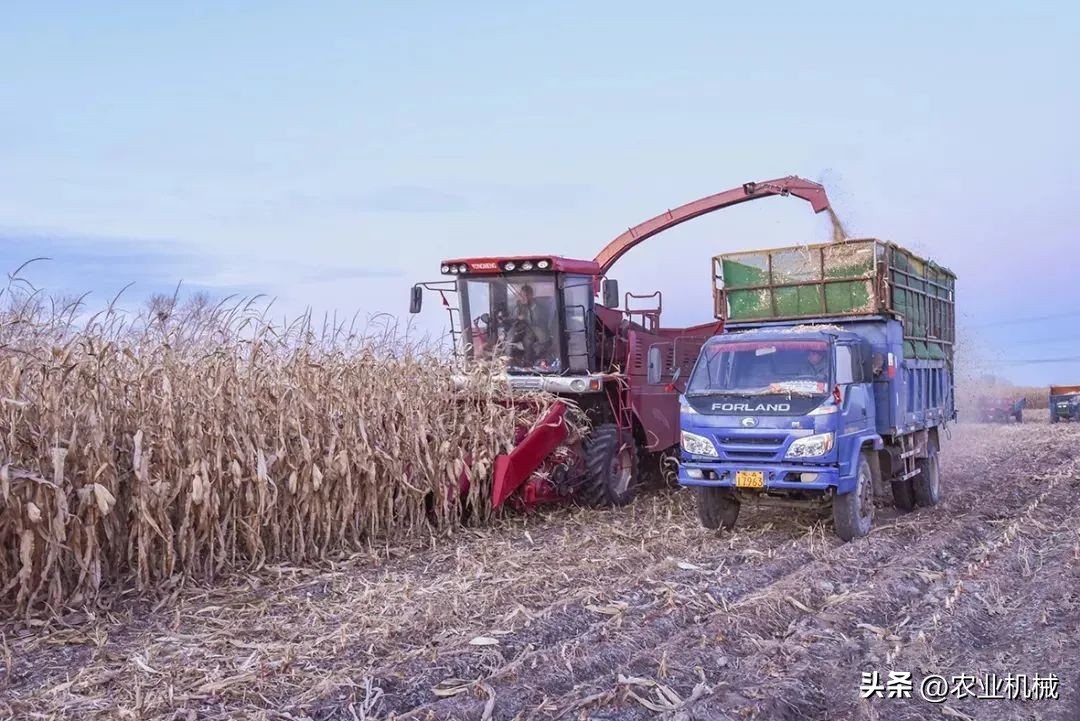 2023年最赚钱的农业,现在买什么农机最赚钱