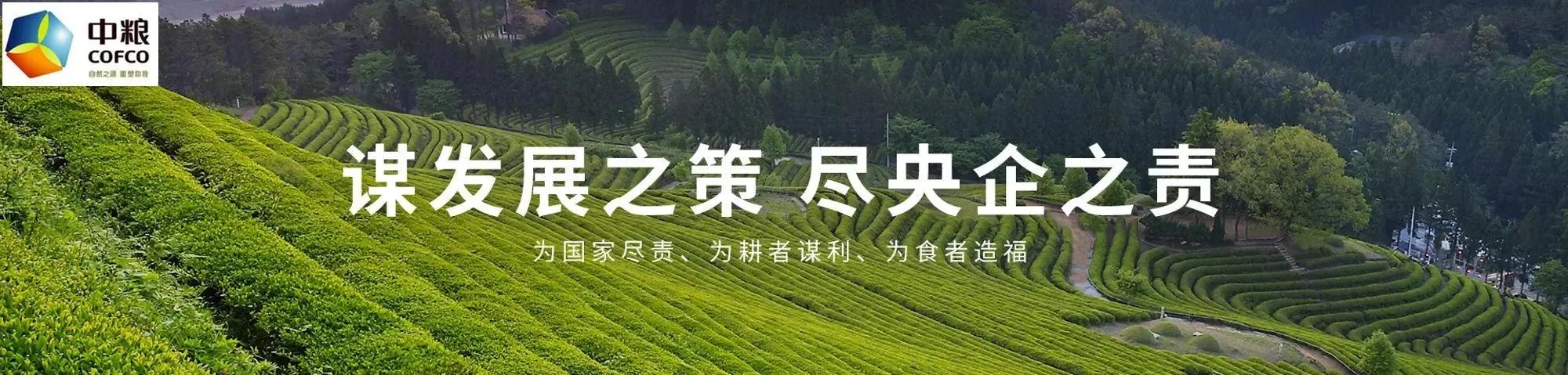 农业专家谭正平︱央国企投资农业的黄金期与切入点