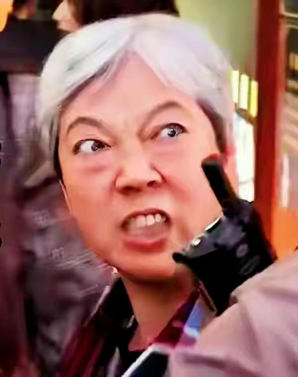 婆孙插队引发地域骂战,婆孙插队事件当事人形象被恶搞