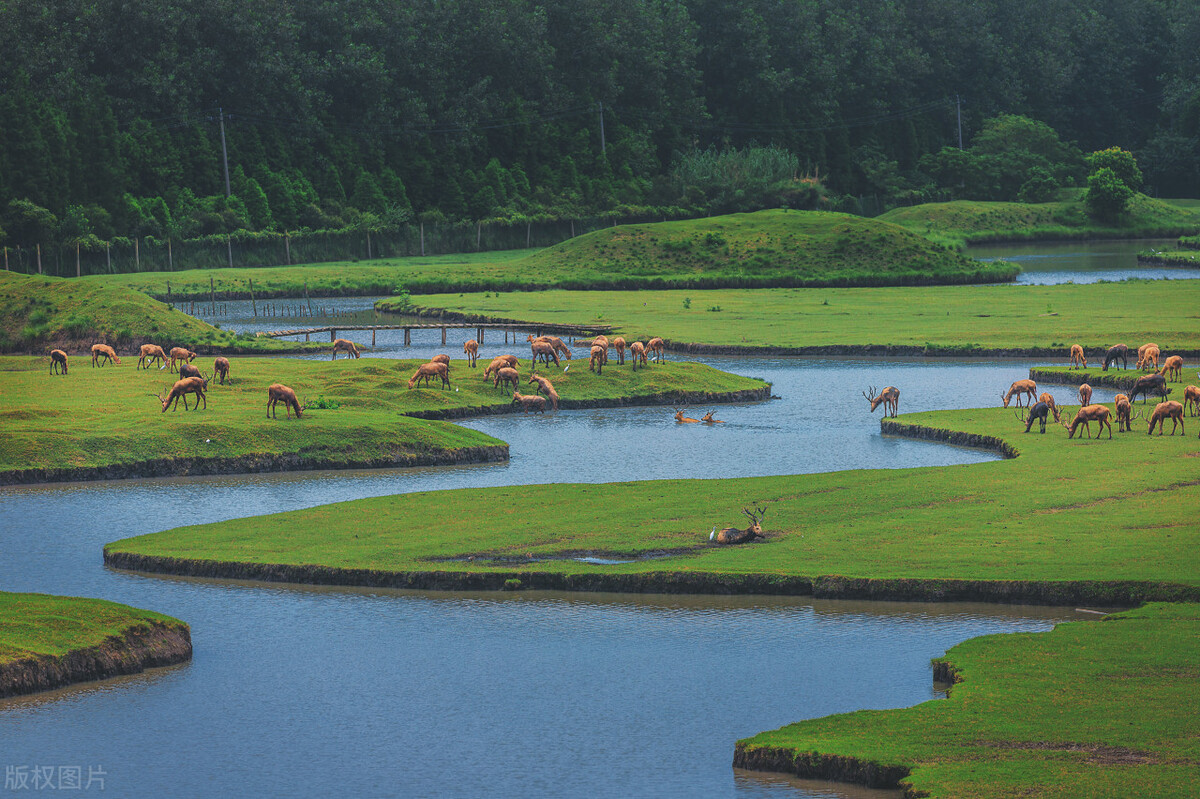 318家国家5a景区名单,国内免费十大5a级旅游景区