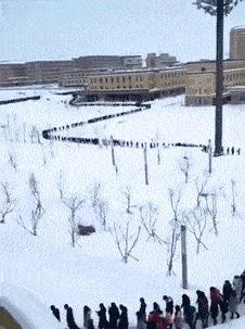 “是小蛇出了轨，还是青蛙劈了腿？”这是现实版的美杜莎？哈哈