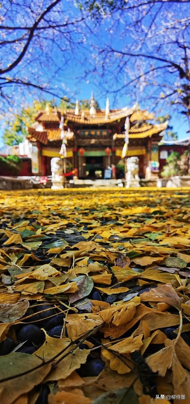 手机拍照片有哪些优点和缺点？3个摄影技巧，助你扬长避短