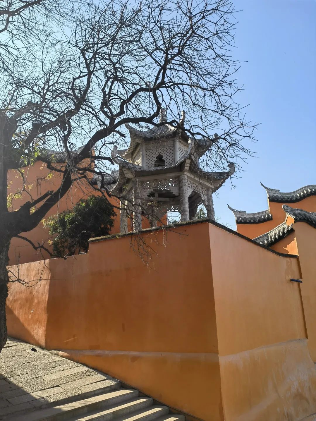 去西昌一定要吃的美食,去西昌推荐吃什么