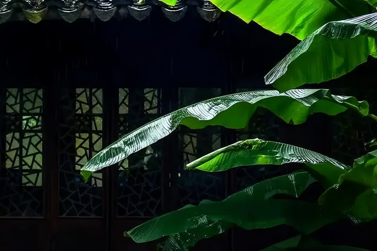 秋天落叶的诗句唯美短句,适合秋天发朋友圈的赞美秋天的诗