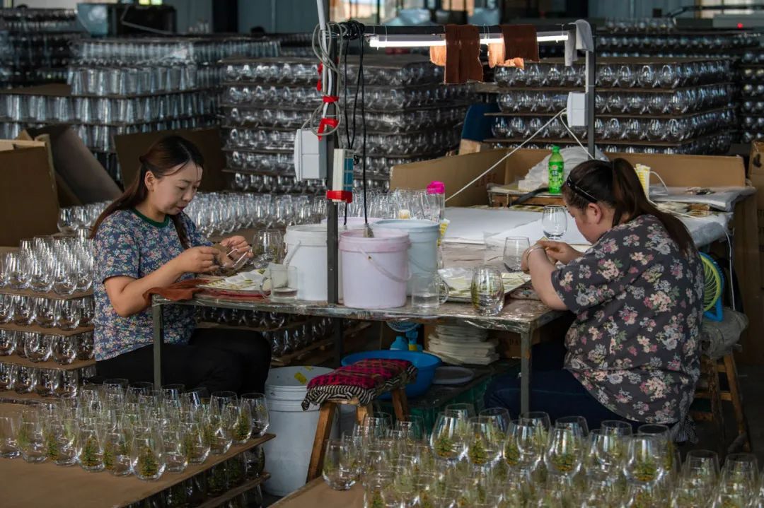 迎接党的20大美术作品,喜迎二十大乡村摄影展