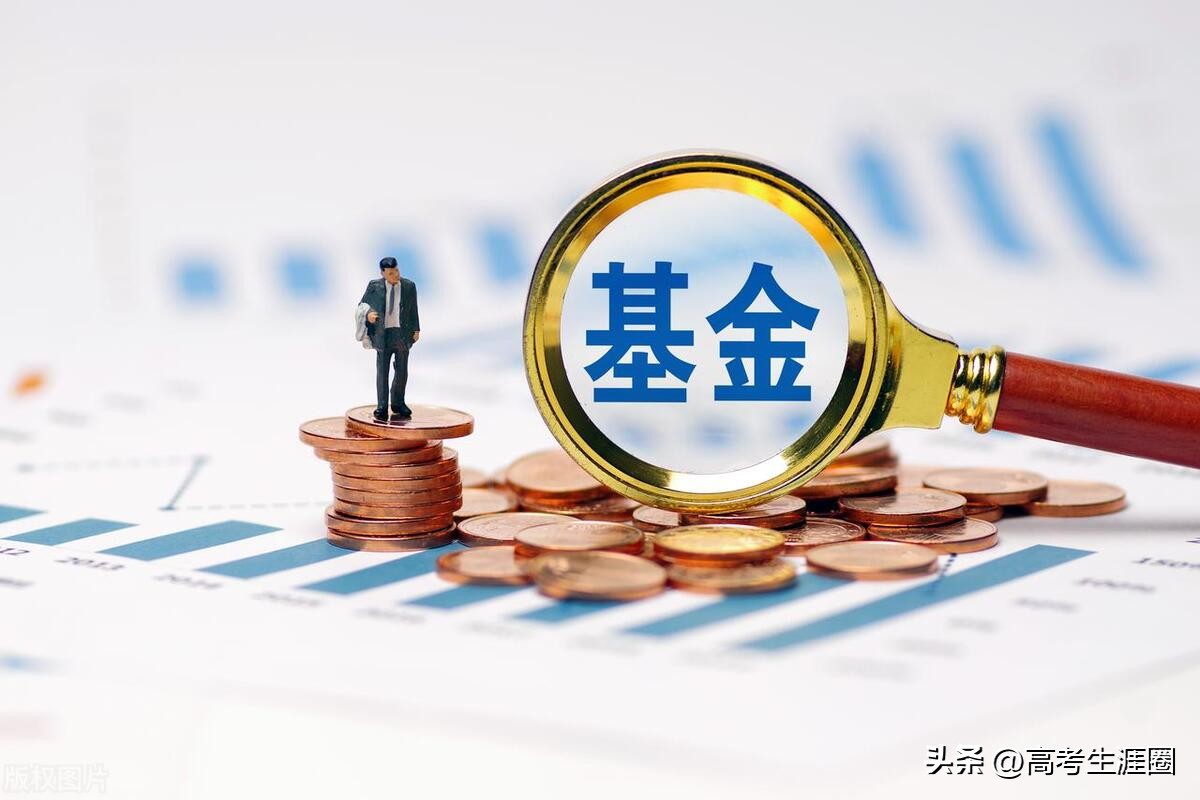 高考填报志愿想学金融怎么报,填报志愿学金融怎么样