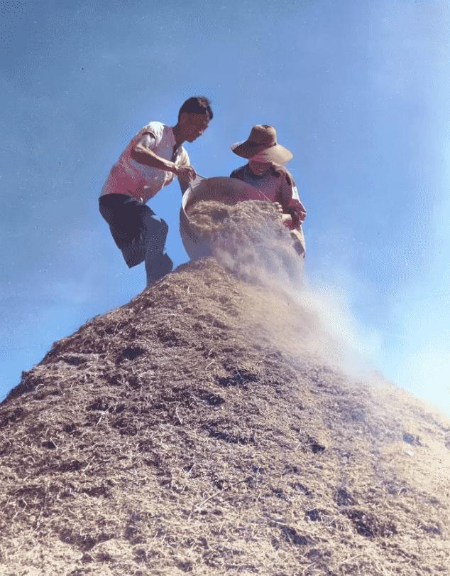 日军兽行:当着男人的面玷污了女儿,临走还残忍割下妻子乳房2