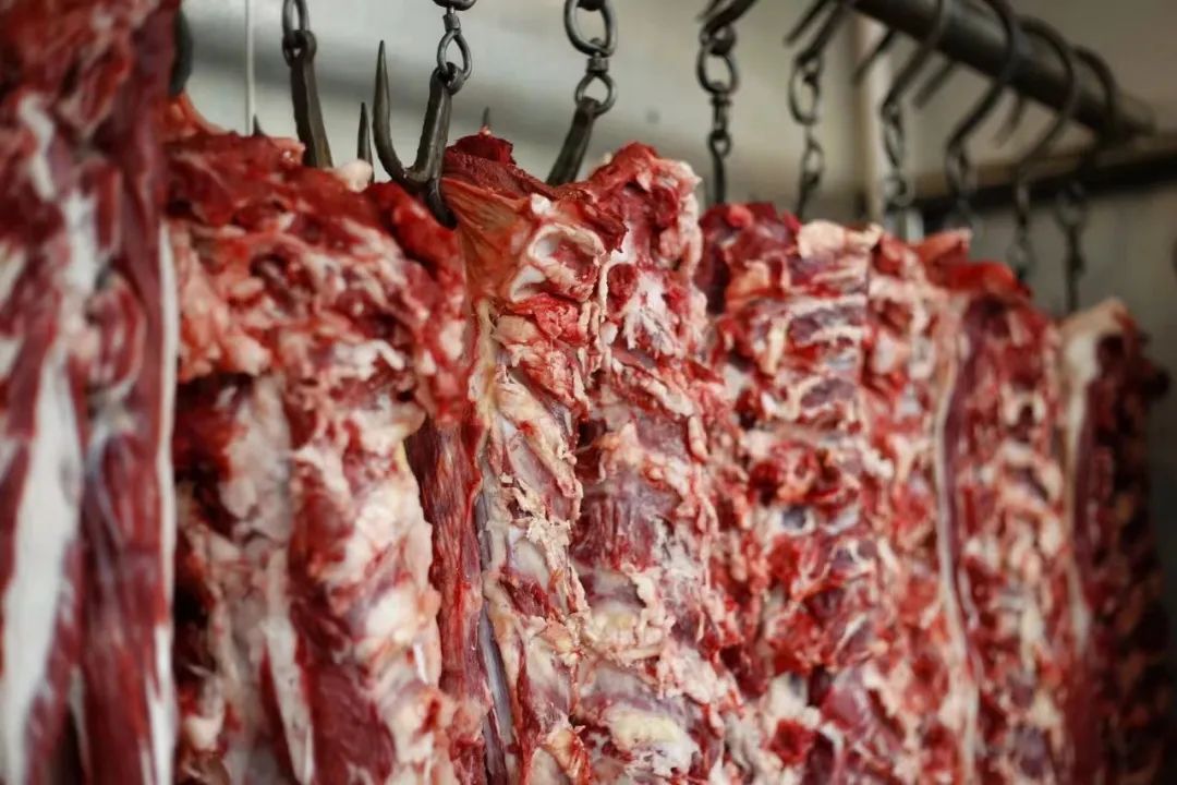 牛街必吃的十二家清真美食,洪剑涛牛街美食推荐