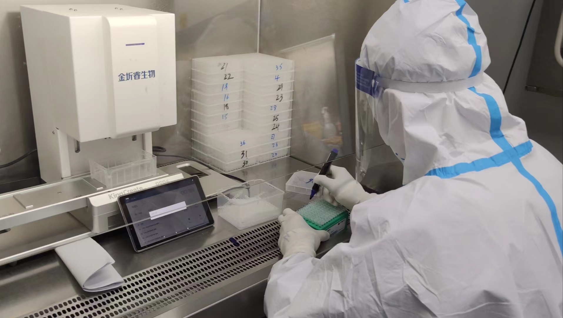 核酸检测共同抗击疫情,核酸检测共战疫情