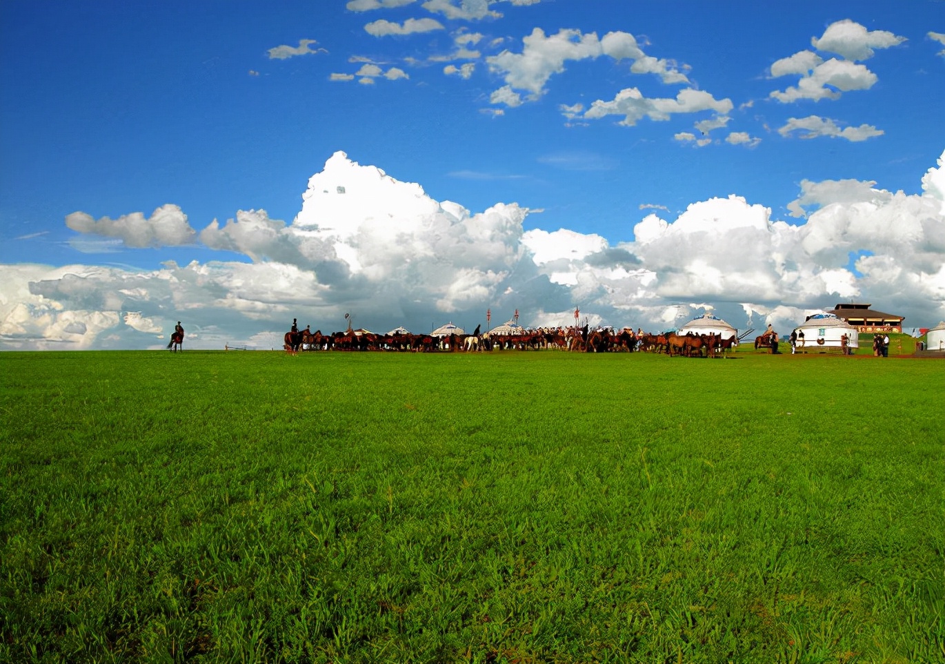 为什么国外没有绿化带,为什么欧洲没有绿化带