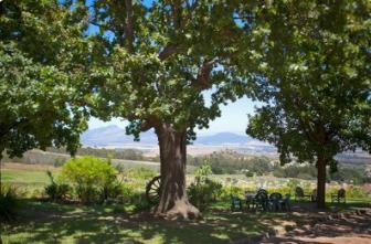 警惕那些伪命题的加盟项目,如何确定一个加盟项目不是骗局