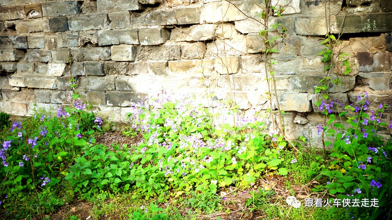 南京城墙下的琵琶湖,南京旅游先看城墙还是先看玄武湖
