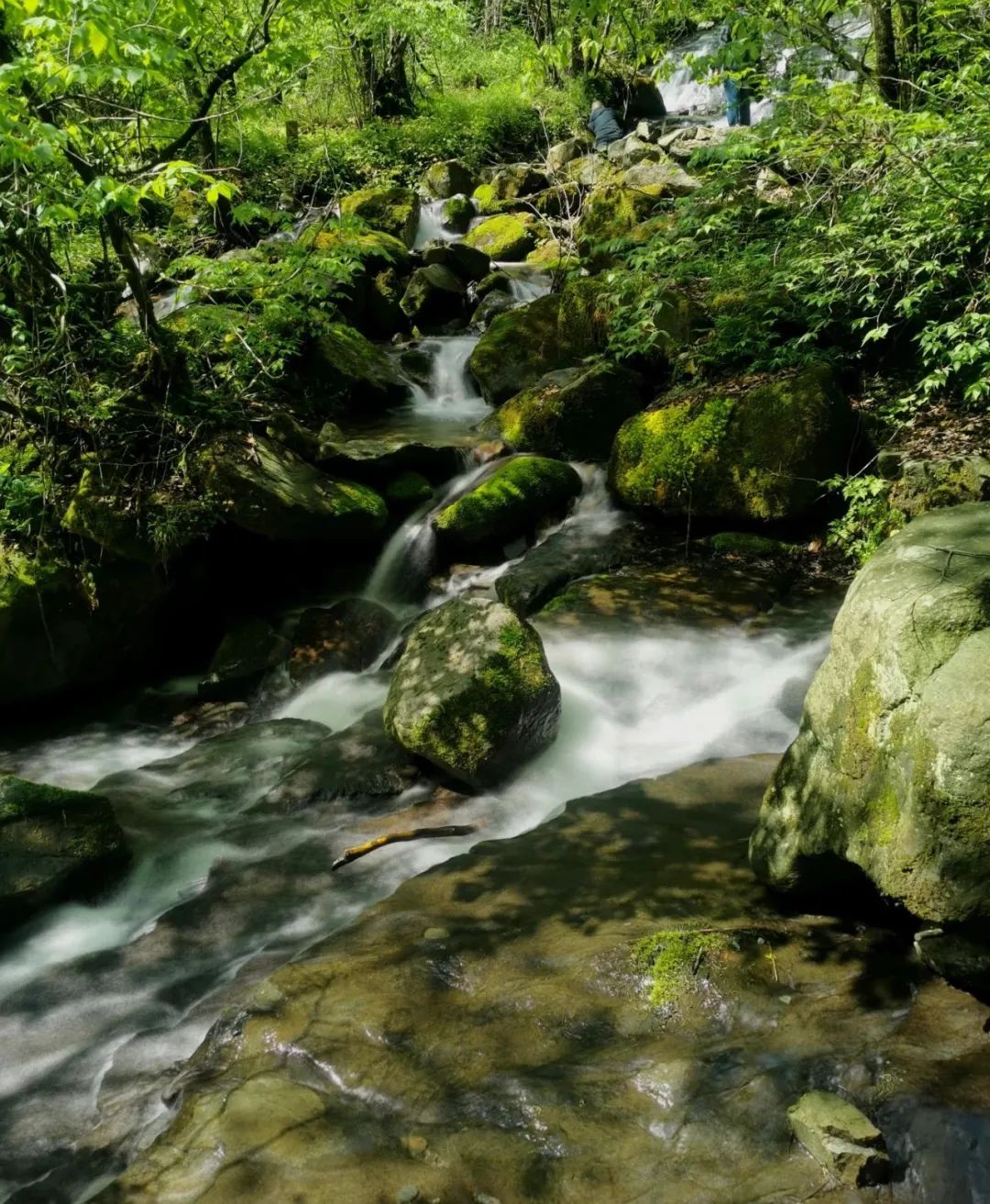 中国著名作家竹溪采风系列之八——竹溪三魅