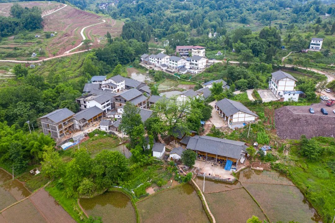 重庆乡村振兴示范村名单,重庆乡村一日游哪些地方好耍