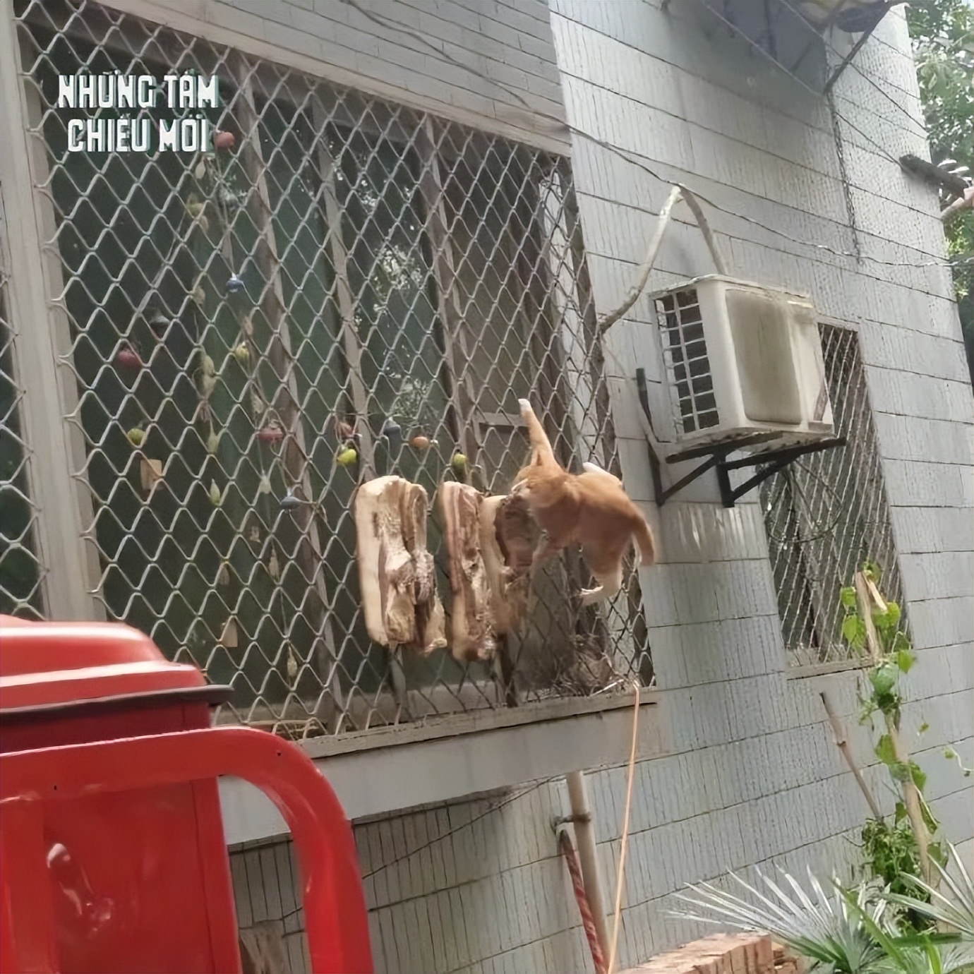 网课承受了太多社死|冷段子2365去年今日2008