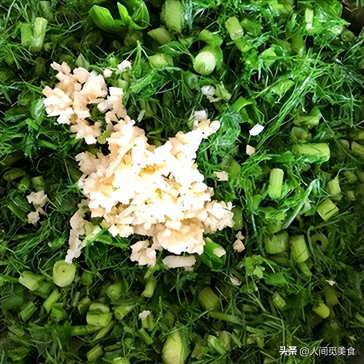 小茴香有几种最好吃的做法,分享几种茴香的做法营养美味