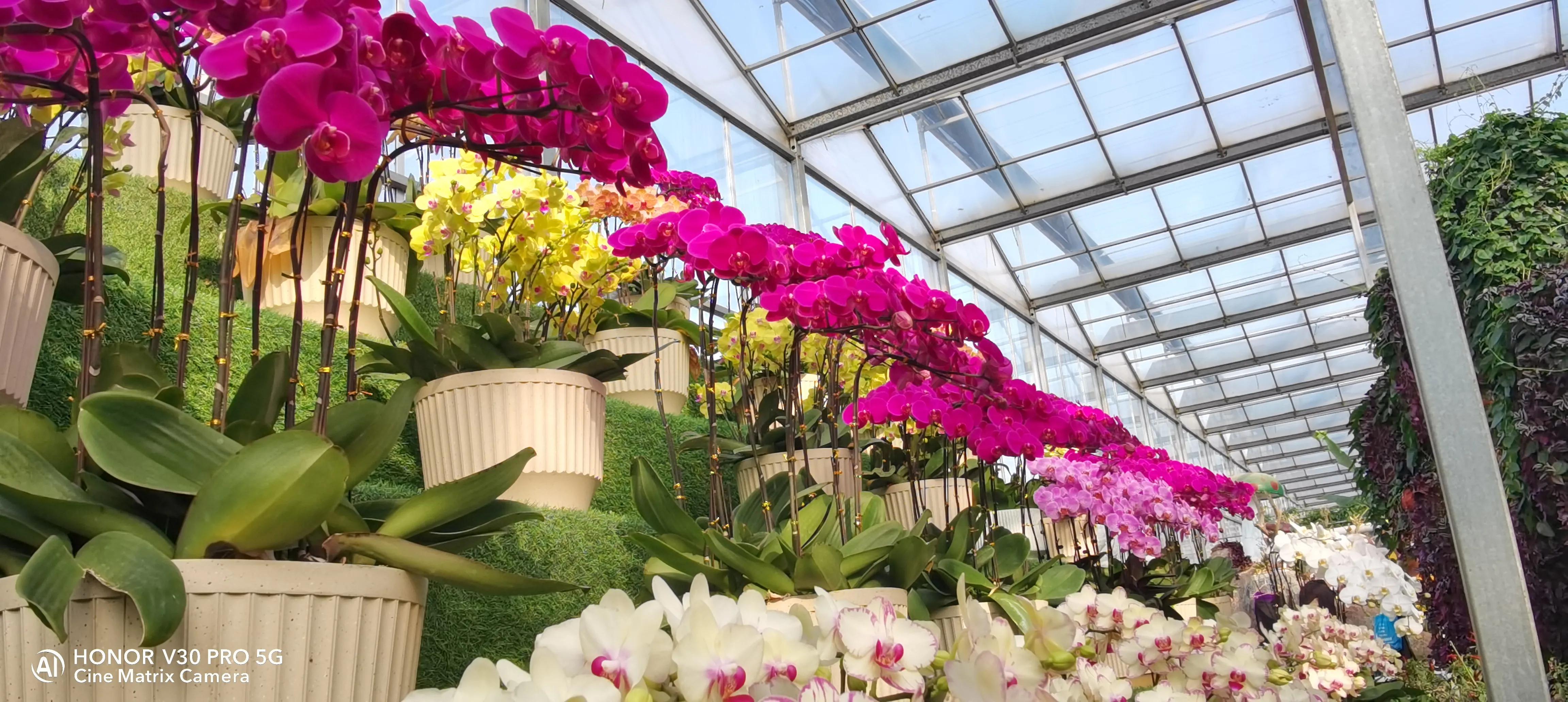 吹牛要交税多少,吹牛要不要交税