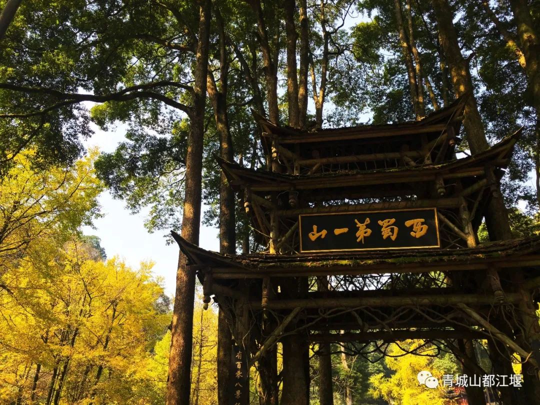 抓住秋天的尾巴！都江堰必打卡的8大晚秋好去处，步青山观烟岚云岫、入古城拾千年烟火，来过都会爱上