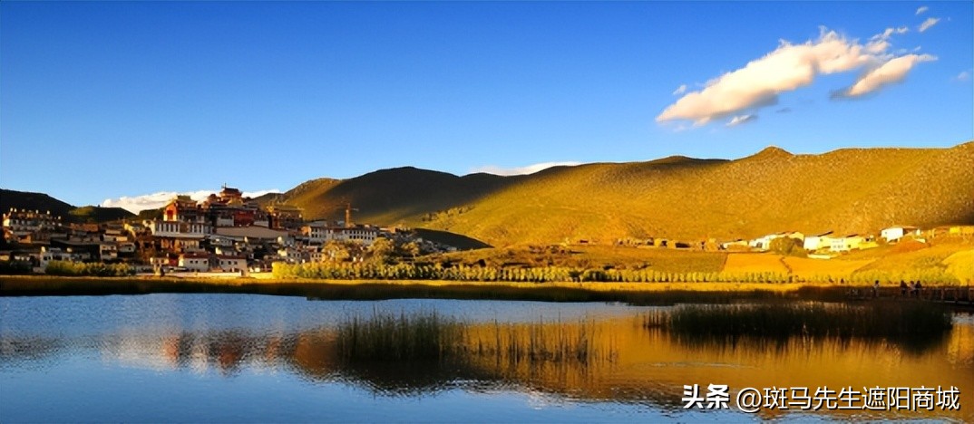 斑马先生装饰,斑马先生遮阳