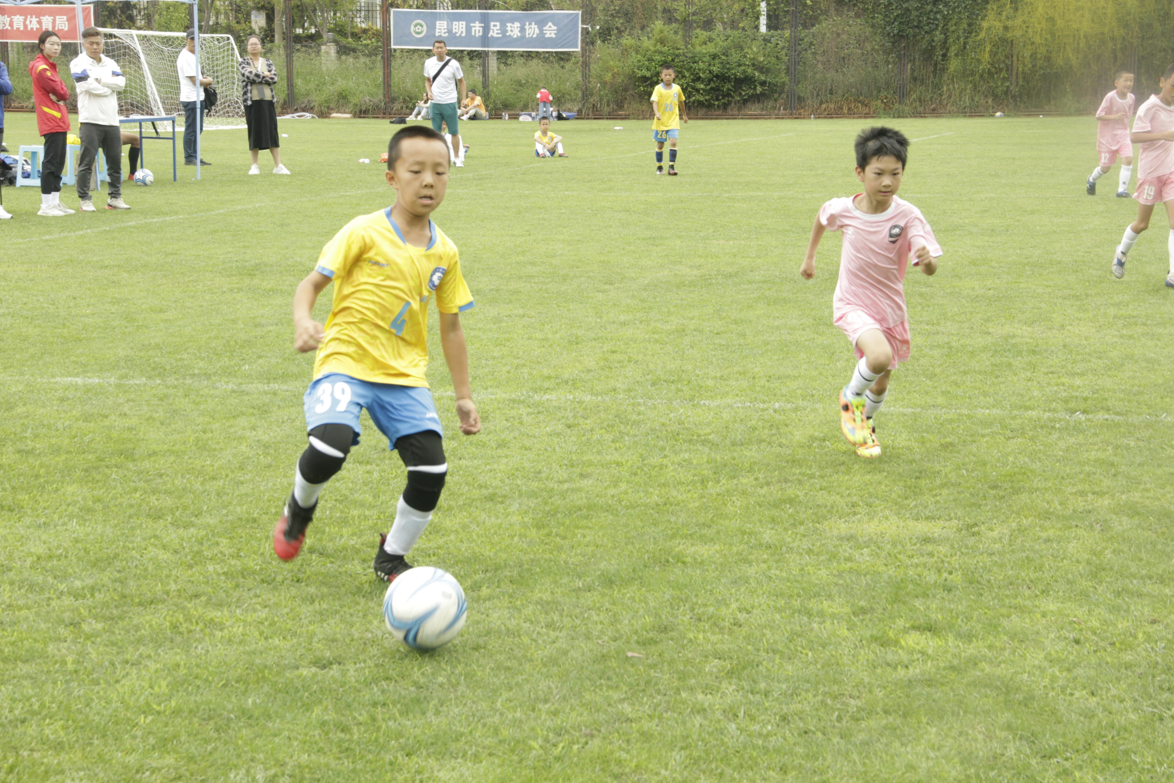 昆明2023奋进杯足球赛,昆明市小学生奋进杯