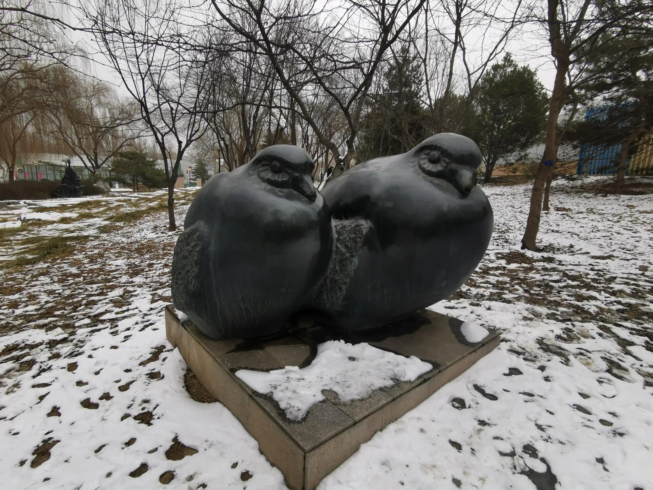 去北京雕塑公园坐几路车,北京石景山区雕塑公园相亲角