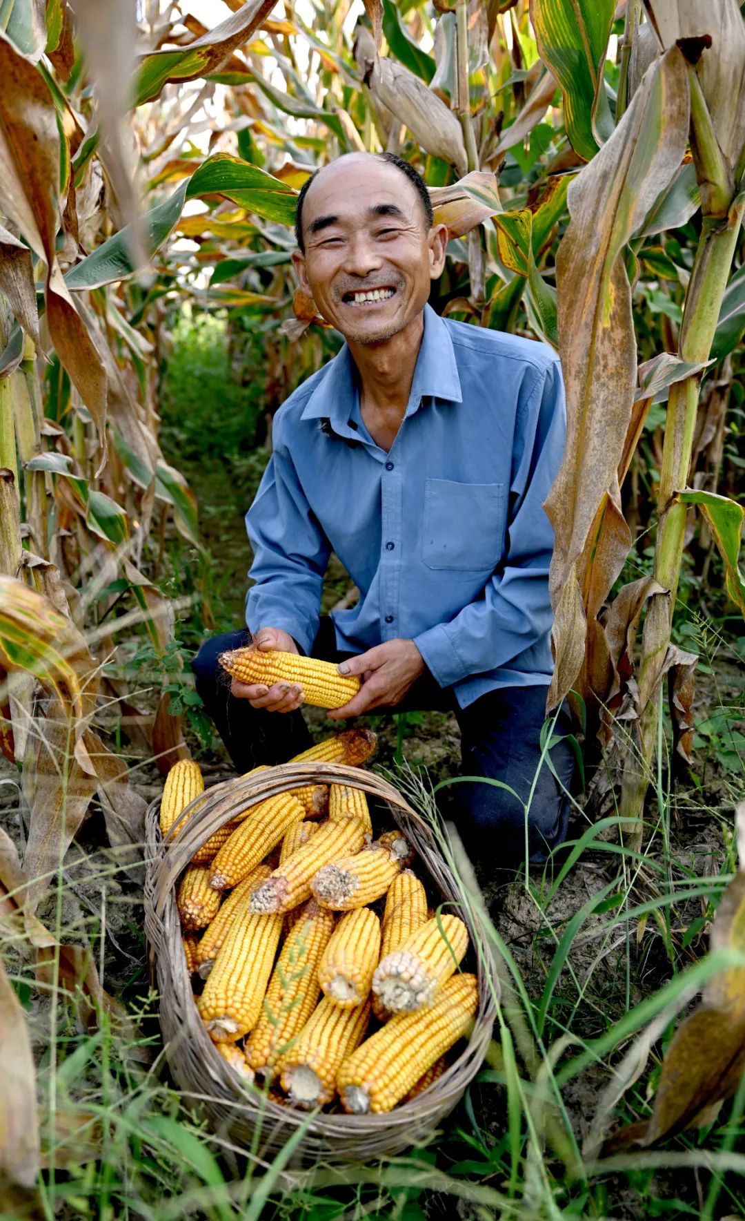 临汾新闻三个一批,临汾吉县壶口瀑布2020年开放时间